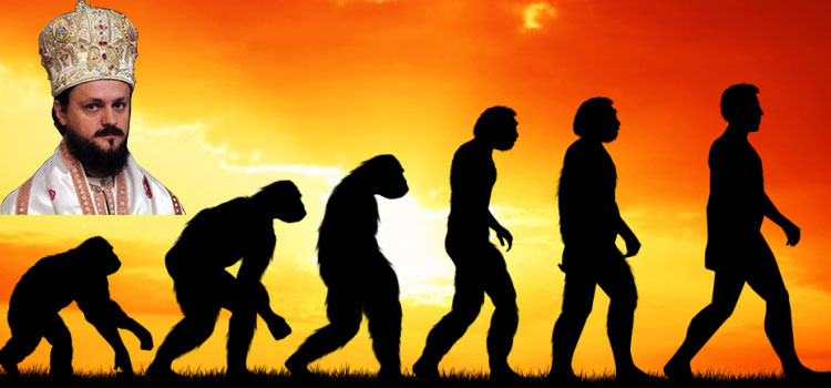 vladika maxim i evolucionizam